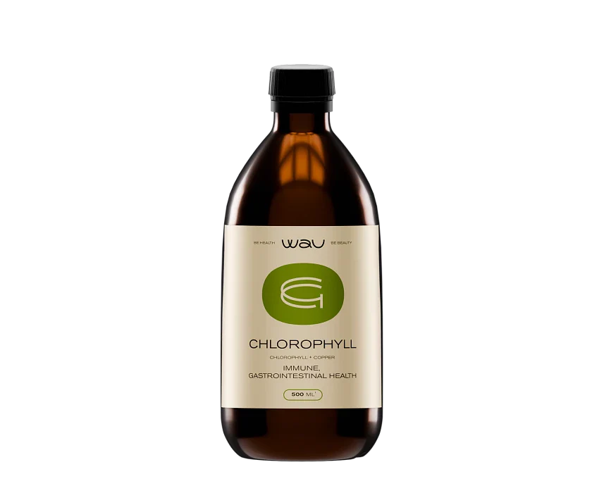 CHLOROPHYLL β ΠΏΠΎΠ΄Π΄Π΅ΡΠΆΠΊΠ° ΠΈΠΌΠΌΡΠ½ΠΈΡΠ΅ΡΠ° ΠΈ ΠΠΠ’