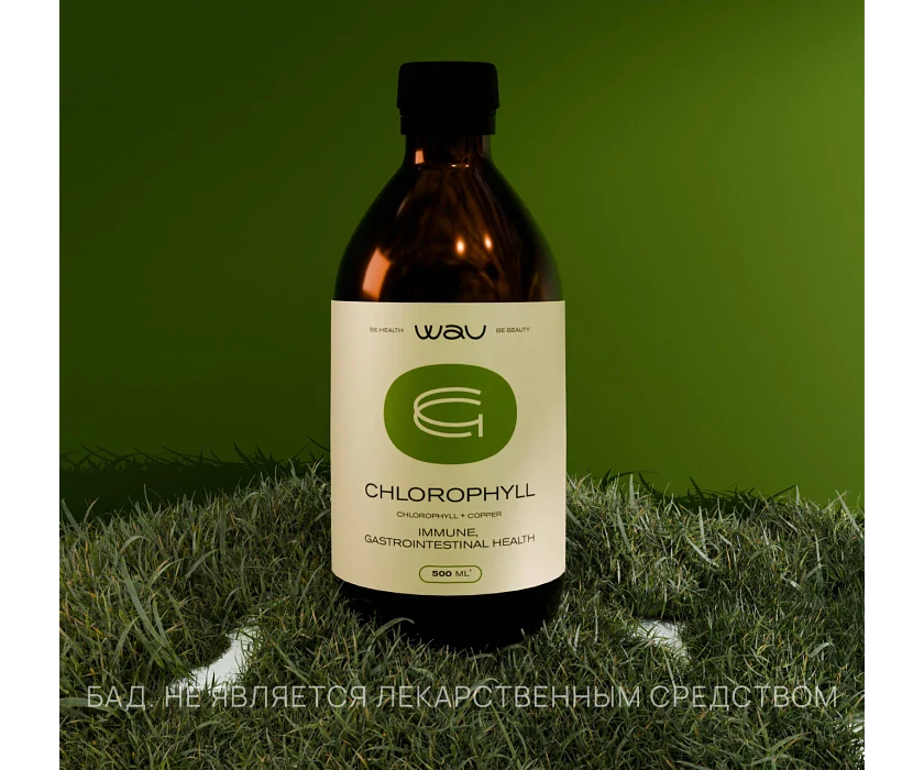 CHLOROPHYLL β ΠΏΠΎΠ΄Π΄Π΅ΡΠΆΠΊΠ° ΠΈΠΌΠΌΡΠ½ΠΈΡΠ΅ΡΠ° ΠΈ ΠΠΠ’ - Image 2
