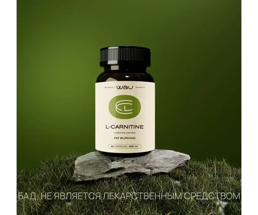 L-CARNITINE β ΡΠΆΠΈΠ³Π°Π½ΠΈΠ΅ ΠΆΠΈΡΠ° - Image 2
