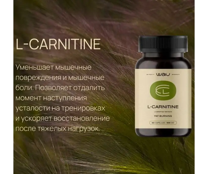 L-CARNITINE β ΡΠΆΠΈΠ³Π°Π½ΠΈΠ΅ ΠΆΠΈΡΠ° - Image 3