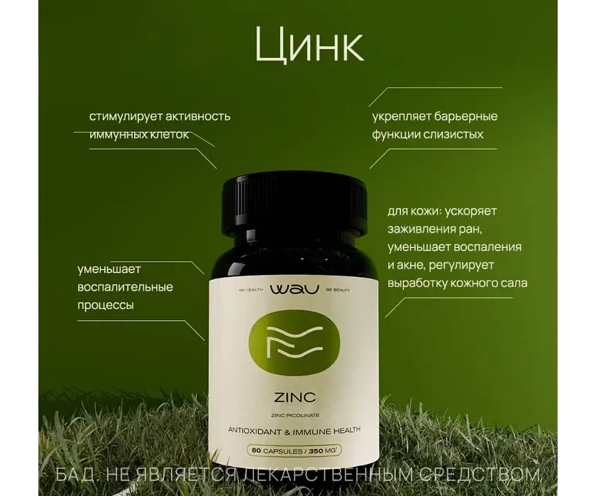 ZINC PICOLINATE COMPLEX β ΠΏΠΎΠ΄Π΄Π΅ΡΠΆΠΊΠ° ΠΈΠΌΠΌΡΠ½ΠΈΡΠ΅ΡΠ° - Image 2